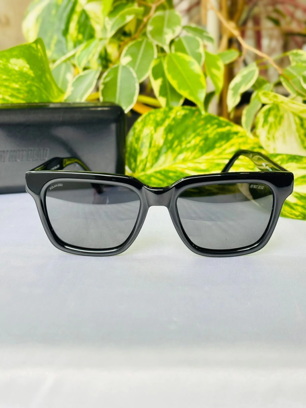 Gafas AY NOT DEAD 252