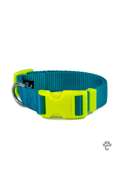 Collar Pro azul/neon para perro - comprar en línea