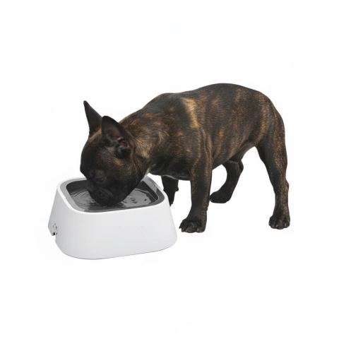 Bebedero Antiderrames Pawtika con Placa Flotante para Perros y Gatos - comprar online