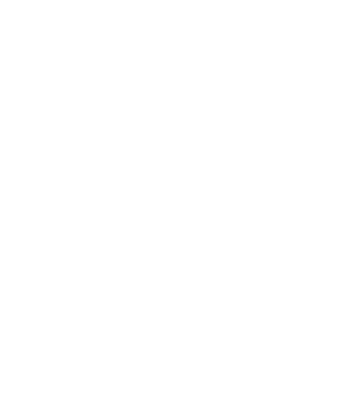 Tiago Santineli Store