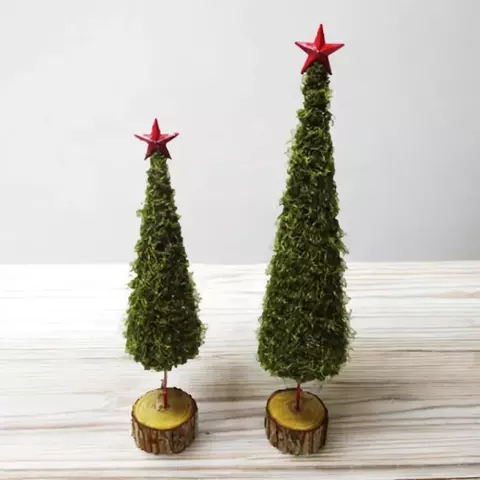 ARBOL PIE NATURAL VERDE 50 CM