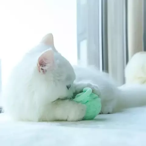 Madden brinquedos engraçados para gatos, bolas de fio coloridas com sino, brinq