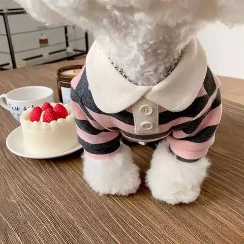 Roupas para cães schnauzer teddy york shire polo camisa vestido de verão listr