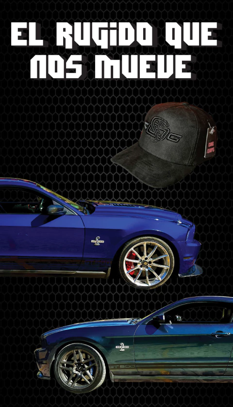 Carrusel Cobras Only Garage