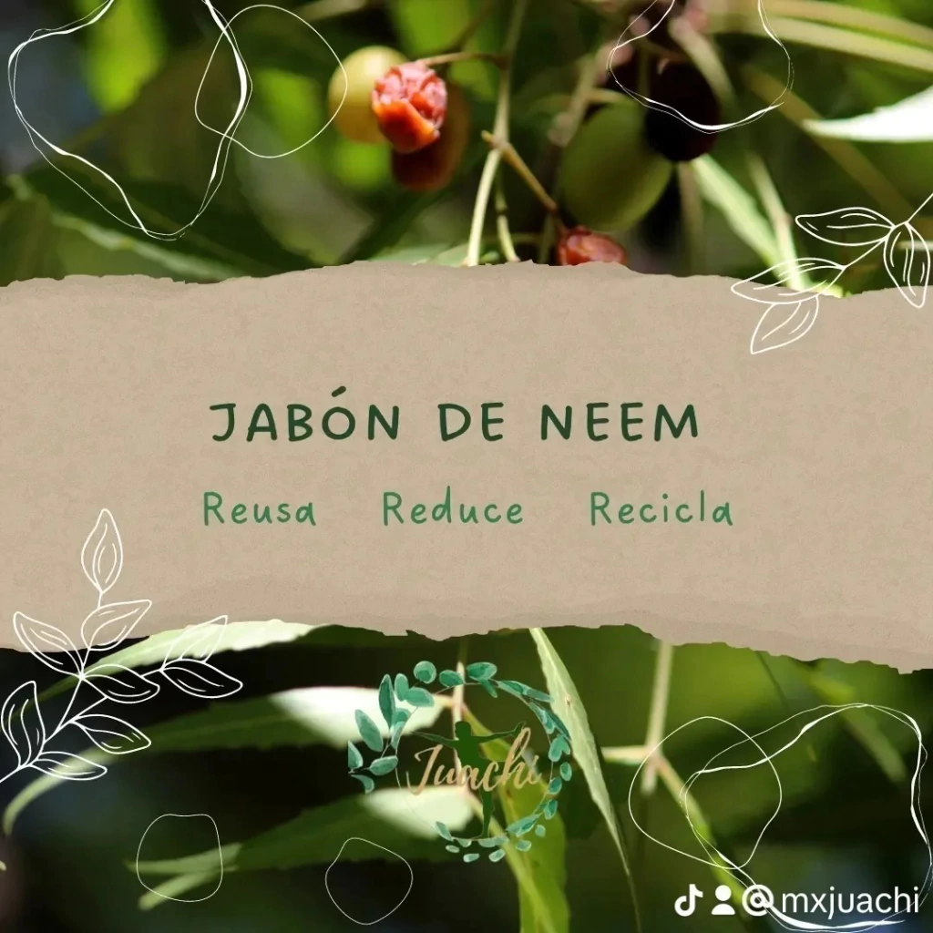 Jabón de Neem