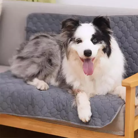Tapete Higiênico EcoPet