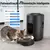 Alimentador Automático Newpet PedePatas - GiftWorld