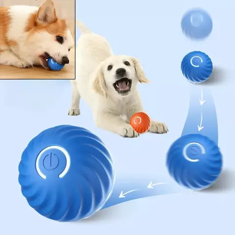 Brinquedo Inteligente para Cães – Bolinha Azul Recarregável com Movimento
