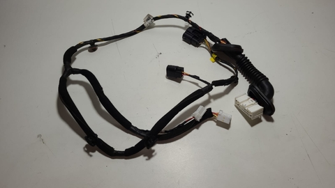 Chicote Porta Traseiro Lado Esquerdo Creta 2022 91650M4011