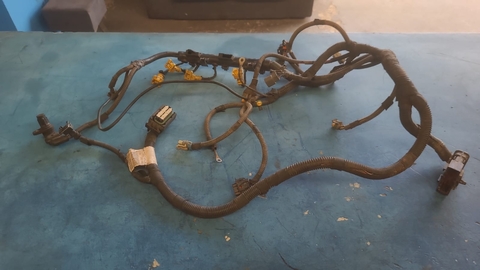 Chicote Motor Fiat Palio 55257516 178 Usado Original