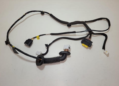 Chicote Porta Tras. Lado Direito HB20 2020 91630R1050