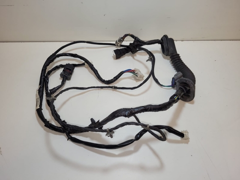 Chicote Porta Dianteiro Lado Direito Nissan Sentra 2012