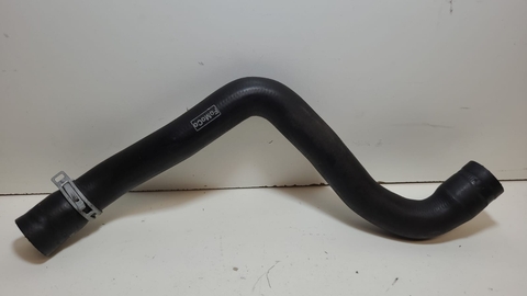 Mangueira Inferior Ford Focus 2.0 16v 2009/13 Original