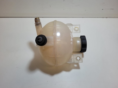 Reservatório Água Radiador Fiat Argo 2021 52045015