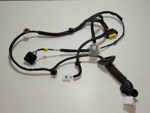 Chicote Porta Tras. Lado Esquerdo HB20 2020 91620R1050