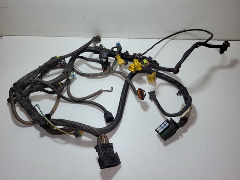 Chicote Injeção Fiat Palio 1.0 2010 55222185 Original