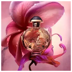 Olympéa Solar Rabanne Eau de Parfum - Oásis Parfums