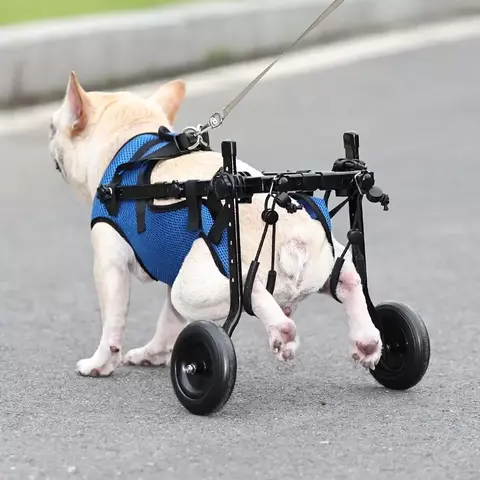 Cadeira de Rodas para Pets (2 rodas) – Carrinho de Reabilitação