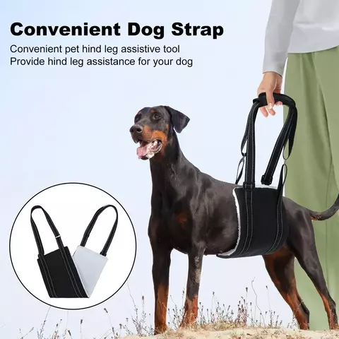 Arnês de Reabilitação Canina – Sling de Elevação Ajustável p/ Patas Traseiras