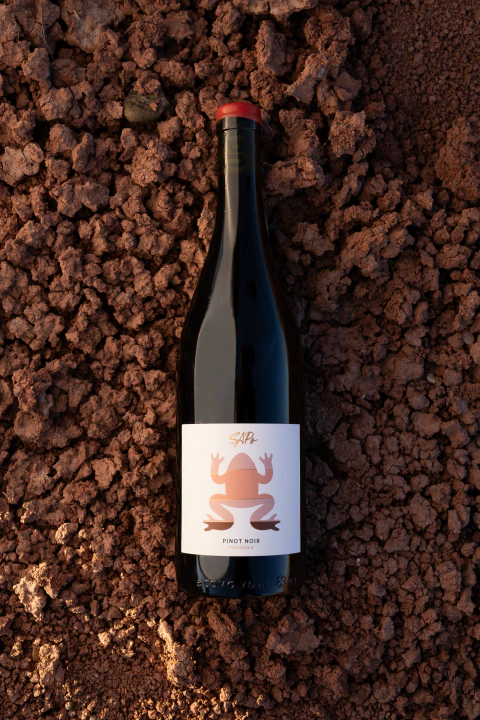 Bodega Costa - Sapo 2025