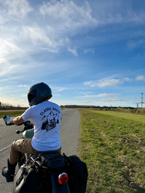 Remera Mountain Rider