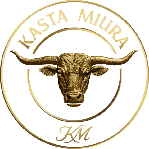 Kasta Miura Calzado en cuero