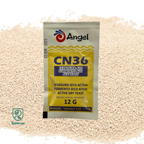 Fermento Angel CN36