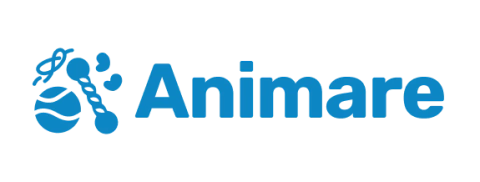Animare