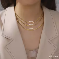 Skyrim Colar de corrente de cobra de aço inoxidável para mulheres, homens, cor de ouro, cor de espinha de peixe, correntes de pescoço 2023 Tendência de jóias para presente quente - GT SHOP