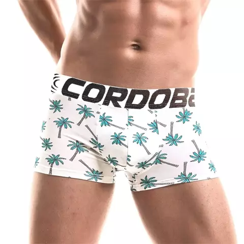 Cueca Boxer Elástica Estampada Atacado Box Pronta Entrega Envio Imediato
