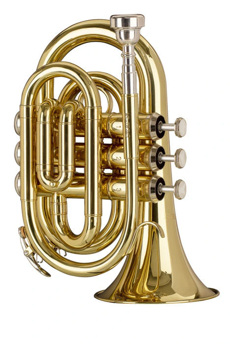TROMPETA POCKET STAGG "Bb"-CON ESTUCHE