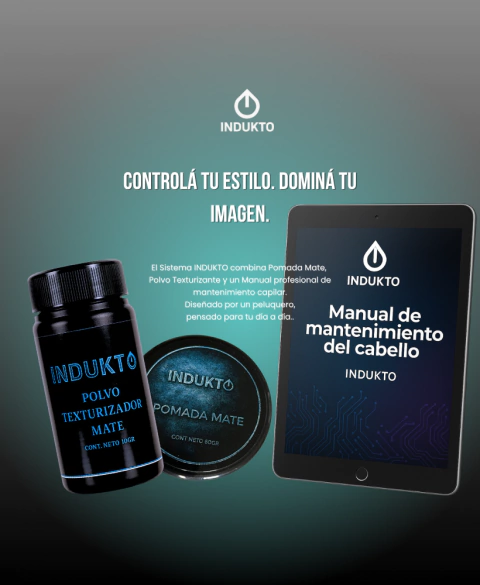 Imagen del carrusel indukto