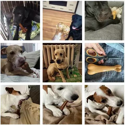 Osso para cachorro mastigável - comprar online