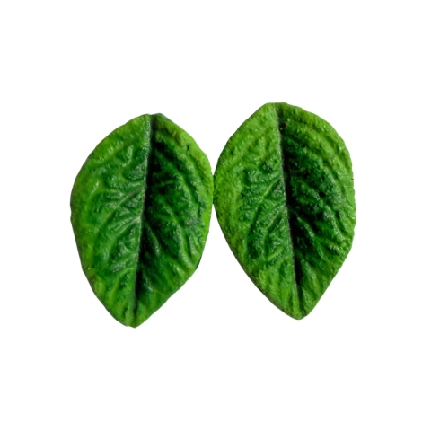 Brinco Folha Tropical