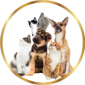 Marca 4 de Nebron magazine