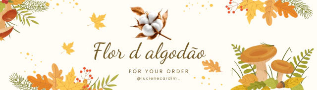 Flor d algodao 