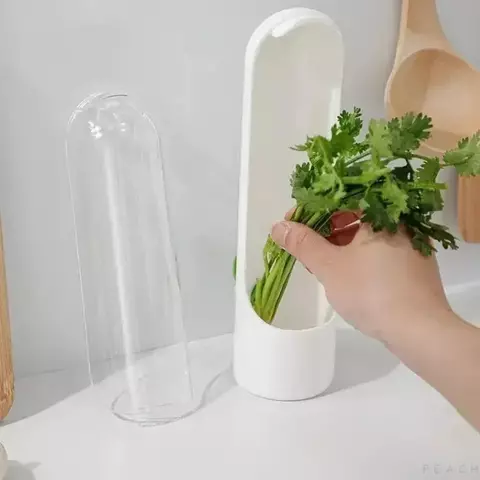 VeggieKeep – Caixa Fresca para Conservação de Vegetais