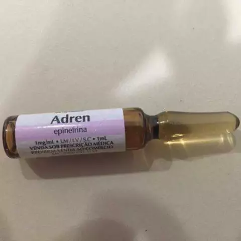 SK - Adrenalina Injetável 1mg/ml