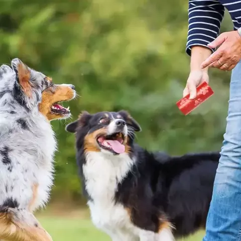 Sacos grossos para coco de cachorro, 2-30 rolos, à prova de vazamento, para cami