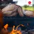 Pollo entero eviscerado con menudos (precio por 20 KG) en internet