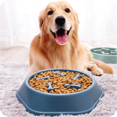 CalmBite - Plato Para Perros Alimentación Lenta Anti Ansiedad - comprar online