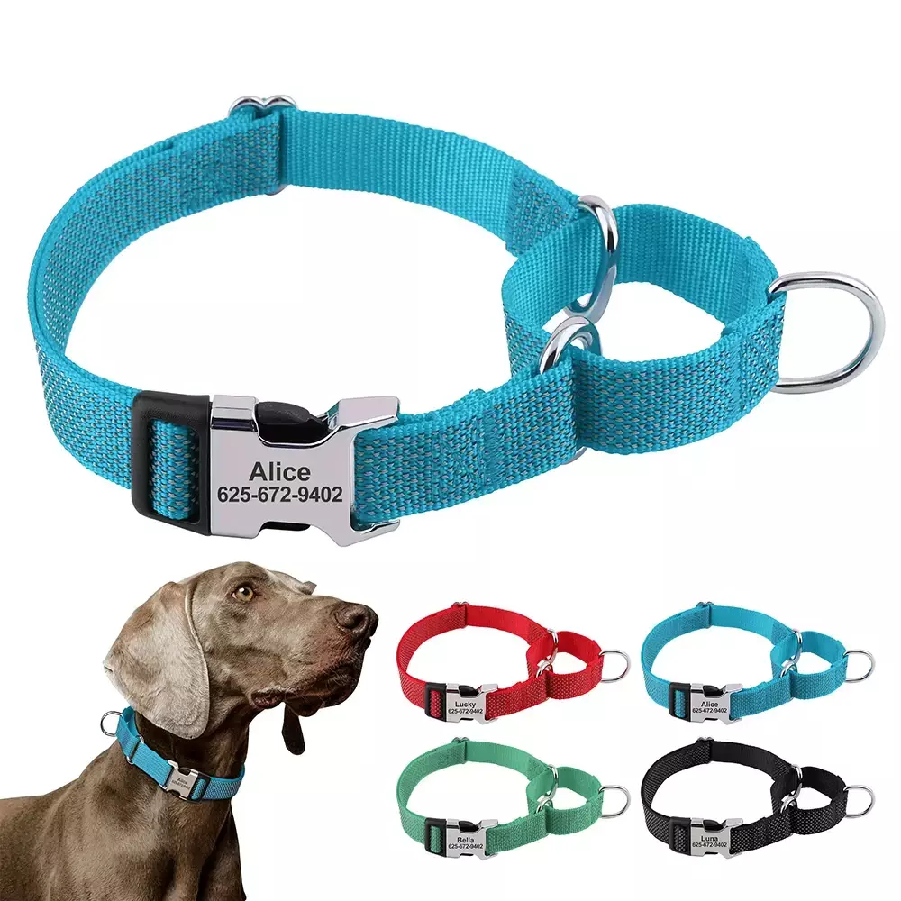 Coleira Martingale para Cães em Nylon Reflexivo