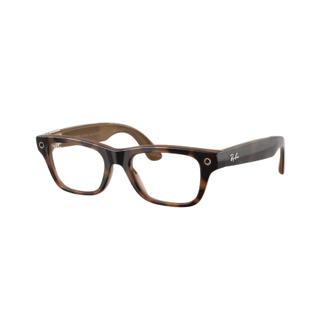META BLAYZER OPTICS