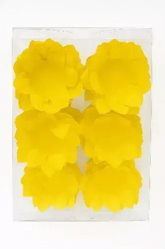 FOLHA DUPLA LISA AMARELO 40UN (7898570313018)