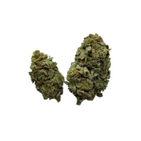 Amnesia (21%) - comprar en línea