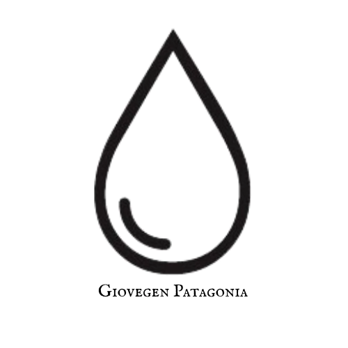 Giovegen Patagonia