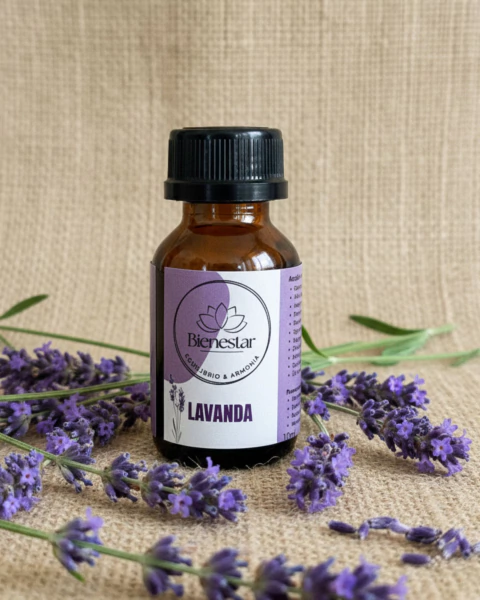 Lavanda - comprar online