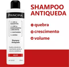 SH PRINCIPIA ANTIC AC-01 250ML