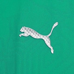 Camisa Palmeiras Treino 25/26 - Torcedor Puma Feminina - Verde - EM SPORTS