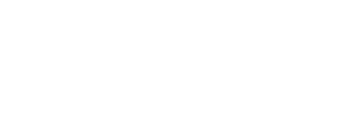 Navitoys